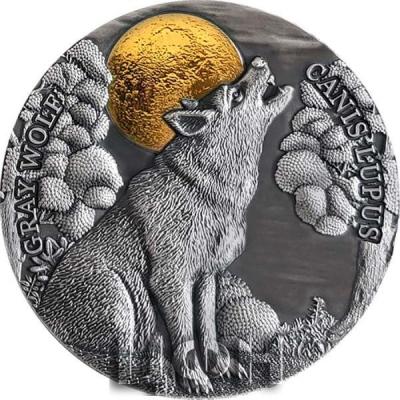 «2020 NIUE 2 OUNCE GRAY WOLF HIGH RELIEF GILDED ANTIQUE FINISH SILVER COIN».jpg
