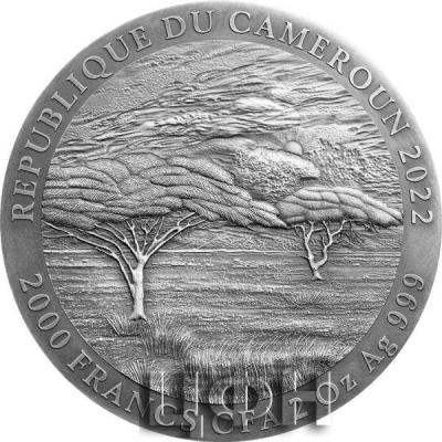 «2022 CAMEROON 2 OUNCE AFRICAN BUFFALO EXPRESSIONS OF WILDLIFE HIGH RELIEF ANTIQUE FINISH SILVER COIN» (2).jpg
