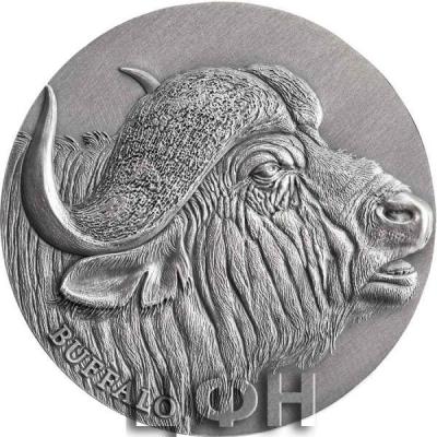 «2022 CAMEROON 2 OUNCE AFRICAN BUFFALO EXPRESSIONS OF WILDLIFE HIGH RELIEF ANTIQUE FINISH SILVER COIN».jpg