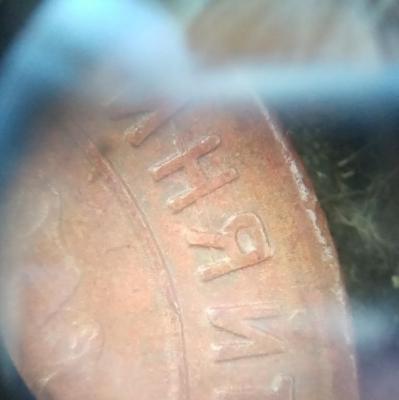 img_20220508_171756.thumb.jpg.4bc73bffe12e58a359df1f82d58154c4.jpg