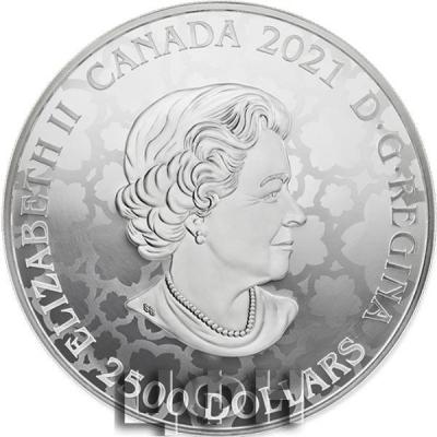 «1 KILOGRAM PURE PLATINUM PINK DIAMOND COIN – THE ULTIMATE».jpg