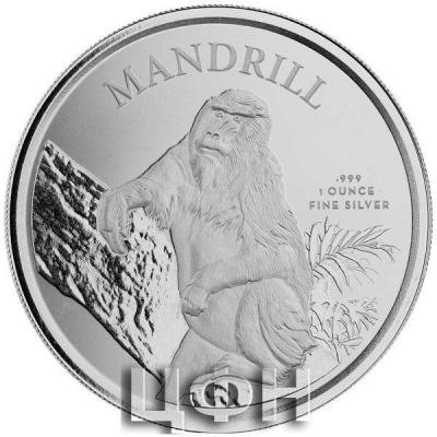 «500 Francs CFA (Cameroon) 2021 MANDRILL (Scottsdale Mint)».jpg