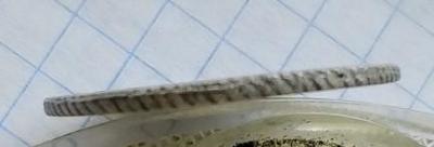 20220605_143306.jpg