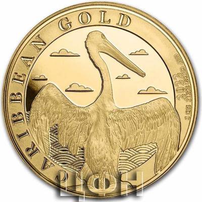 «Gold Ounce 2022 Caribbean Pelican».jpg