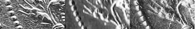 40a.thumb.jpg.014a8d86eb38c1fbbdf4f6f75953a149.jpg