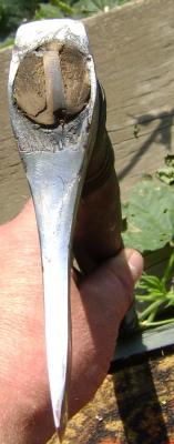 dsc00887.thumb.jpg.b5f1c7e222658d29fc1a29d699ea4967.jpg