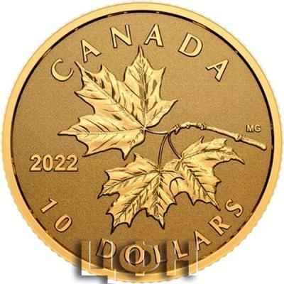 «Pure Gold Coin – Everlasting Maple Leaf».JPG