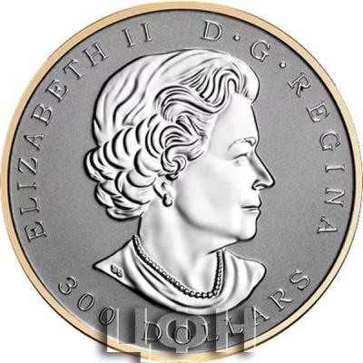 «Pure Platinum Coin – Maple Leaf Forever».JPG
