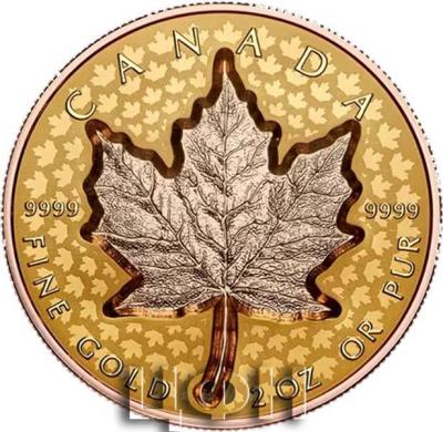 «2 oz. Pure Gold Coin – Super Incuse Gold Maple Leaf.».JPG