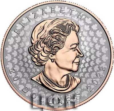 «1 oz. Fine Silver Coin – Super Incuse Silver Maple Leaf».JPG
