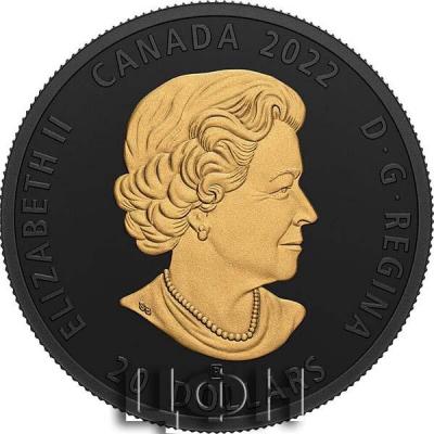 «20 Dollars SEA OTTER Black and Gold Silver Coin 20$ Canada 2022 Proof».JPG