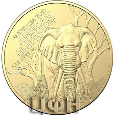  «AUSTRALIA ZOO ● SUMATRAN ELEPHANT».JPG