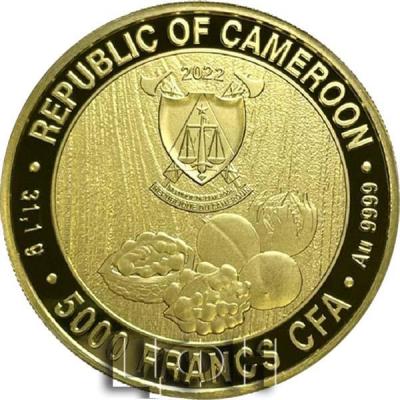 «5000 африканских франков 2022 Камерун - Грецкий орех.».JPG