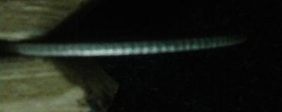 20220719_185254-1.jpg