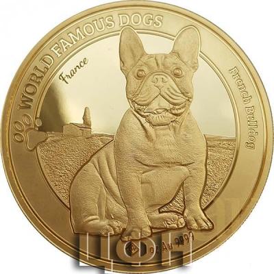 «Gold Ounce 2022 French Bulldog, Coin from Cameroon»..JPG