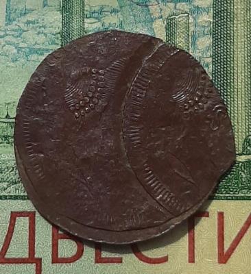 сол 1.jpg