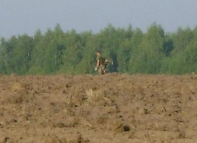 dsc01012.thumb.jpg.37c9ce961454a13ae56b81c48e9bdb4f.jpg