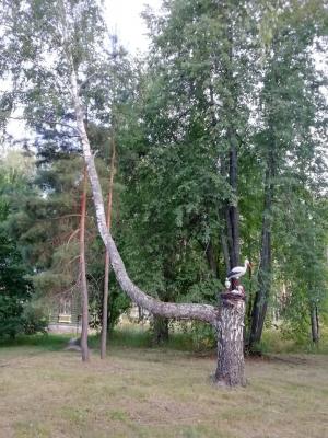 IMG_20220731_165759.jpg
