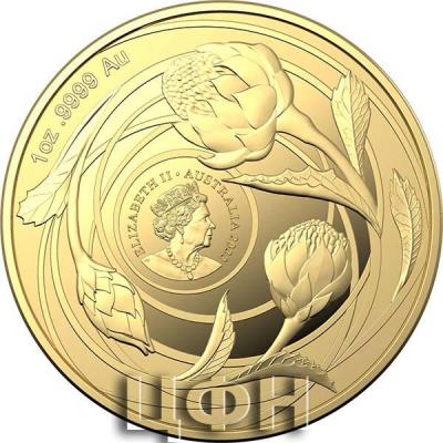 «$ 100 1oz Gold Investment Coin 2022 - Wildflowers of Australia - Waratah».JPG