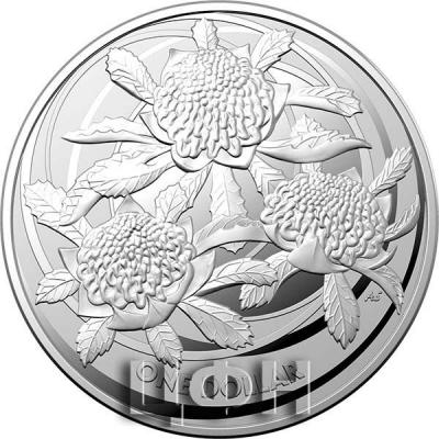 «$1 1oz Silver Proof Coin 2022 - Wildflowers of Australia - Waratah».JPG