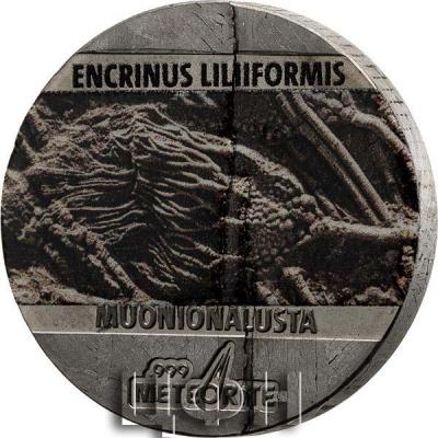 «5 Cents Niue Encrinus Liliiformis 2021».jpg