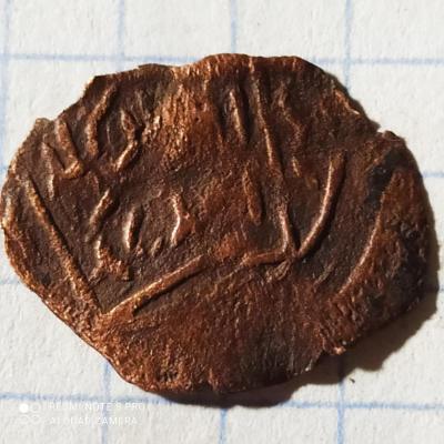 1660120728352.jpg