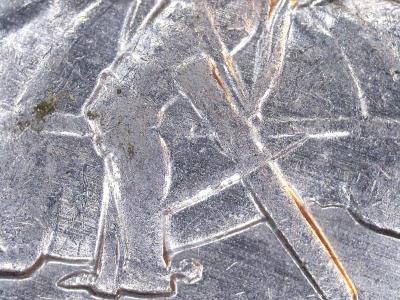 3737_800.jpg