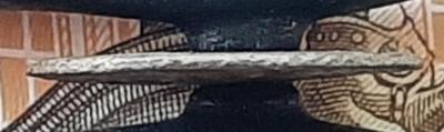 20220918_183951.jpg