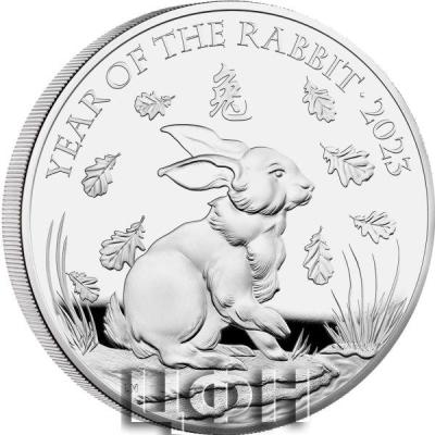 «Lunar Year of the Rabbit 2023 UK silver Proof Coin».jpg