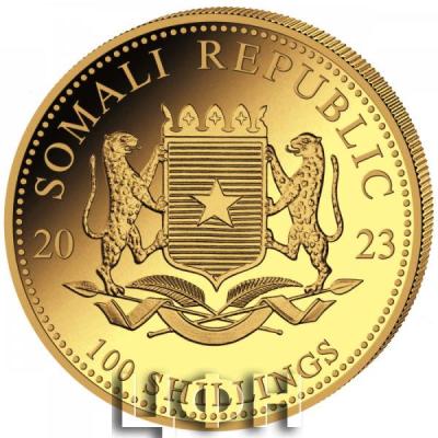 «100 SHILLINGS Gold 999.9».jpg