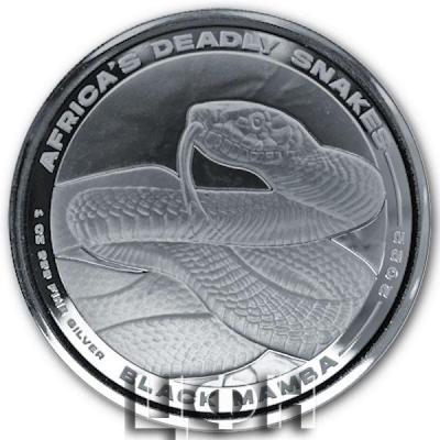 «500 Francs Kongo - Africas Deadly Snakes».jpg