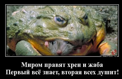душу жабу_ 2 тыс изображений найдено в Яндекс Картинках - Google Chrome 2022-09-30 10.59.15.png