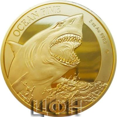 «500 Dollars - 2022 White Shark».jpg