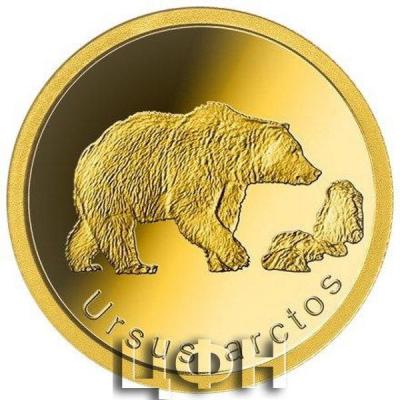«TWO DOLLARS FIFTY CENTS - Ursus arctos».jpg