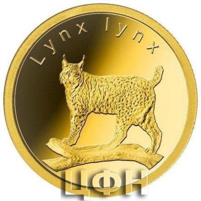 «TWO DOLLARS FIFTY CENTS - Lynx lynx».jpg