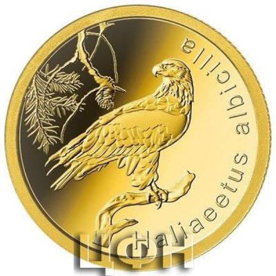 «TWO DOLLARS FIFTY CENTS - White-tailed eagle».jpg