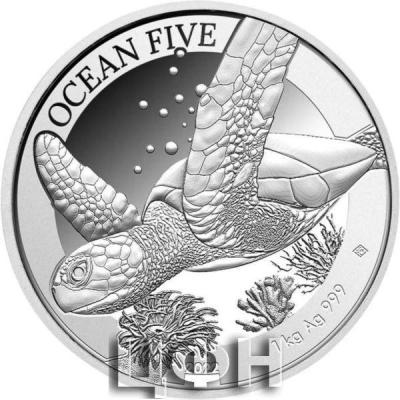 «50 Dollars - 2022 Hawksbill Turtle».jpg