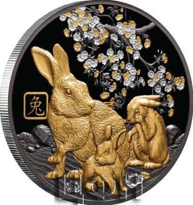 «$10 Silver Proof Coin Lunar Rabbit 2023».jpg