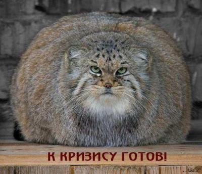 К кризису готов!.jpg