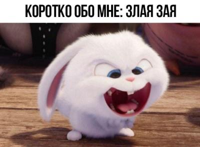 Злая зая 1.jpg