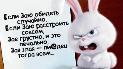Злая зая 2.jpg