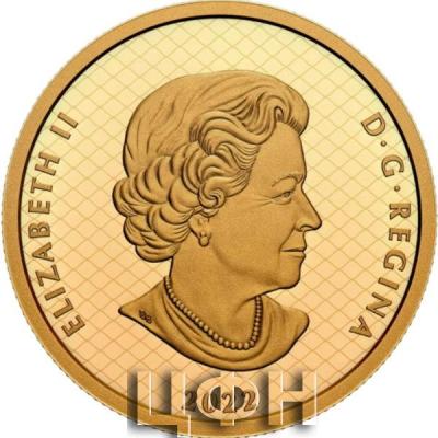 «200 DOLLARS 2022».jpg