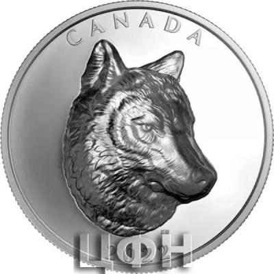 «2022 Canadian $25 Timber Wolf ».jpg