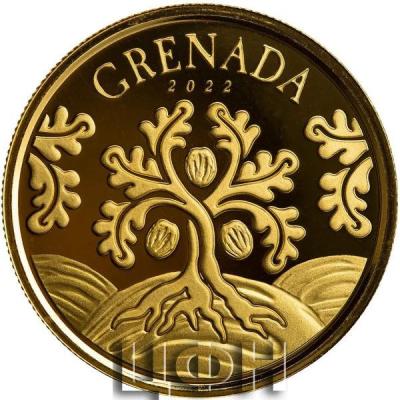 «Gold Ounce 2022 Nutmeg Tree».jpg