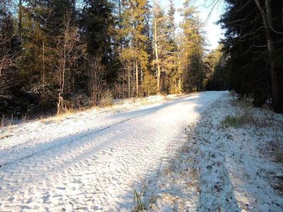 DSCN4188.JPG