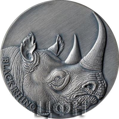 «BLACK RHINO Expressions of Wildlife 2 Oz Silver Coin 2000 Francs Cameroon 2023 Antique Finish».jpg