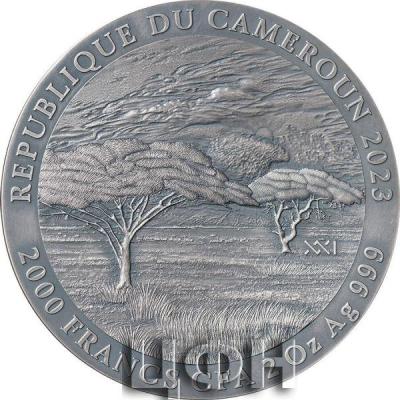 «BLACK RHINO Expressions of Wildlife 2 Oz Silver Coin 2000 Francs Cameroon 2023 Antique Finish ».jpg