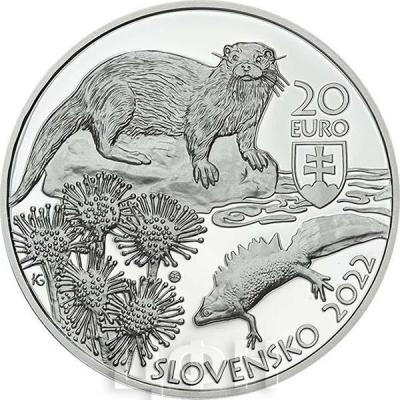 «2022 Slovakia €20 Silver Proof Coin - Kysuce Protected Landscape Area ».jpg