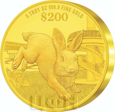 «2023 Singapore Lunar Rabbit 5 troy oz 999.9 Fine Gold Proof Coin».jpg