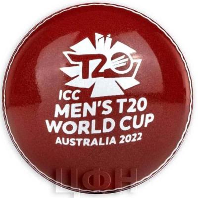 «2022 T20 WORLD CUP CRICKET ».jpg